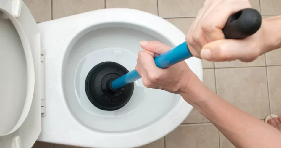 Pompa de desfundat WC 453183739